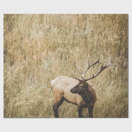 BEAUTIFULE ELK DEER CADEAUPAPIER (Vlak)