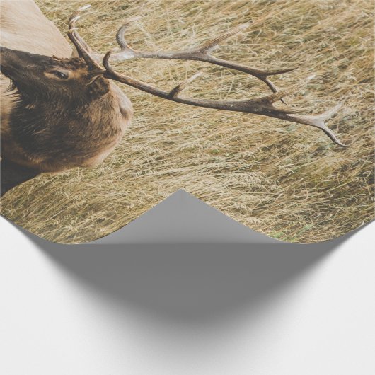 BEAUTIFULE ELK DEER CADEAUPAPIER (Hoek)