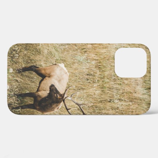 BEAUTIFULE ELK DEER Case-Mate iPhone CASE (Achterkant (horizontaal))