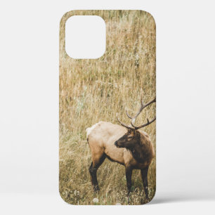BEAUTIFULE ELK DEER Case-Mate iPhone CASE