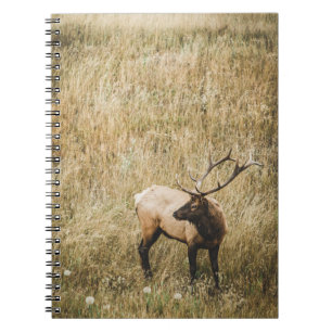 BEAUTIFULE ELK DEER NOTITIEBOEK