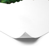 BEAUTIFULE PINK ROSE POSTER (Hoek)