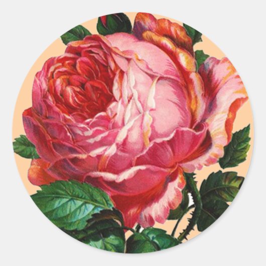BEAUTIFULE PINK ROSE RONDE STICKER (Voorkant)