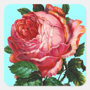 BEAUTIFULE PINK ROSE VIERKANTE STICKER
