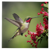 Beautifull Hummingbird Tegeltje (Voorkant)
