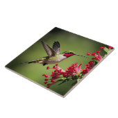 Beautifull Hummingbird Tegeltje (Zijkant)
