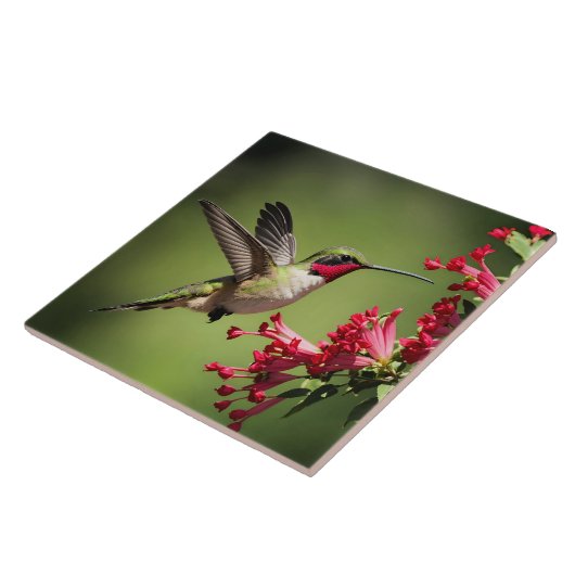 Beautifull Hummingbird Tegeltje (Zijkant)