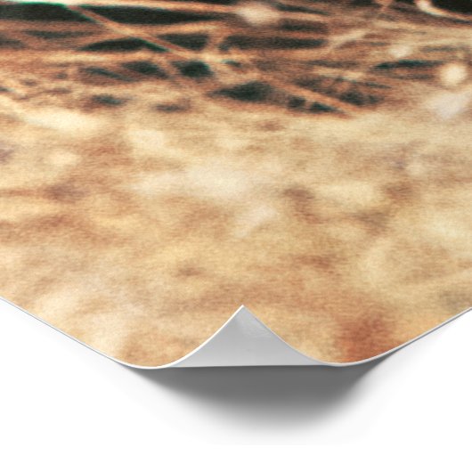 BEAUTIFULLIE POSTER (Hoek)