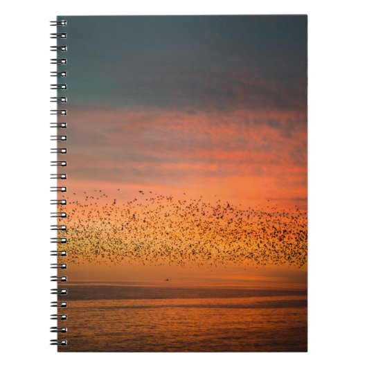 BEAUTIFUTIEF MET VOGELS NOTITIEBOEK (Voorkant)