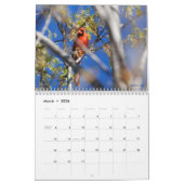 Beauty 2010 van de natuur kalender (Mar 2026)