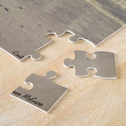 Beauty Along Lake Michigan Legpuzzel (Zijkant)