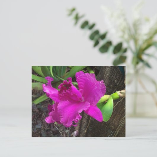 Beauty Briefkaart (Staand voorkant)