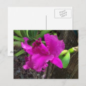 Beauty Briefkaart (Voorkant / Achterkant)