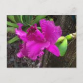 Beauty Briefkaart (Voorkant)