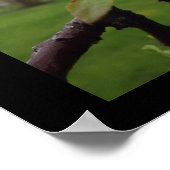 Beauty Comes Poster (Hoek)