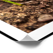 Beauty Custom Poster (Hoek)