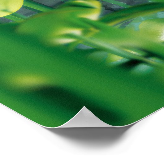 Beauty en de beesten poster (Hoek)