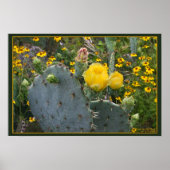 Beauty en het Beast Poster (Voorkant)