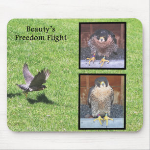 Beauty Freedom Flight Mousepad Muismat