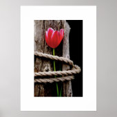 Beauty Held Hostage Poster (Voorkant)