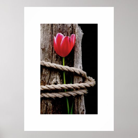 Beauty Held Hostage Poster (Voorkant)