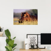 Beauty Hippopotamus Portret Poster (Thuiskantoor)
