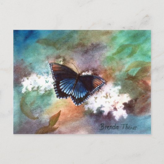 Beauty II Butterfly Briefkaart (Voorkant)