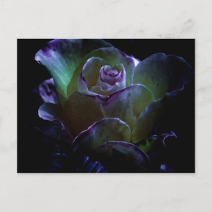 Beauty in Bloom Briefkaart