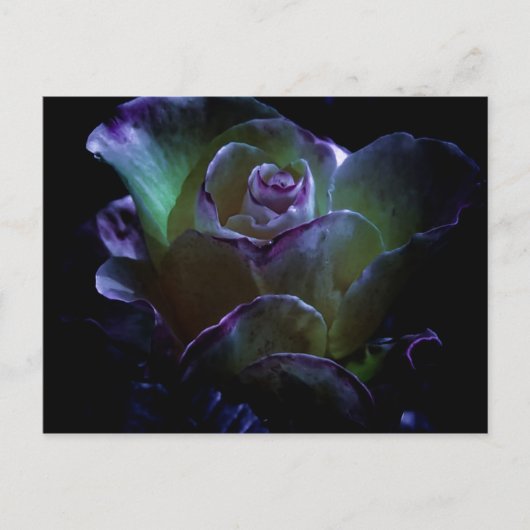 Beauty in Bloom Briefkaart (Voorkant)