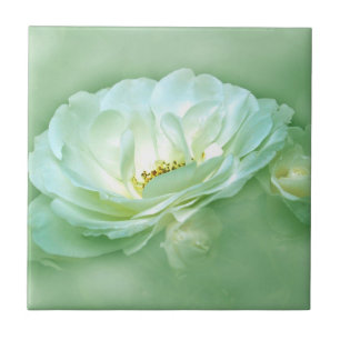 BEAUTY IN DE MIST - GROEN TEGELTJE