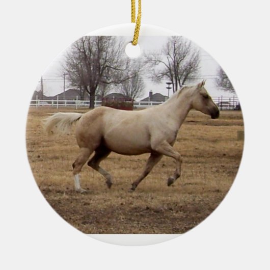 Beauty in Motion ornament (Voorkant)