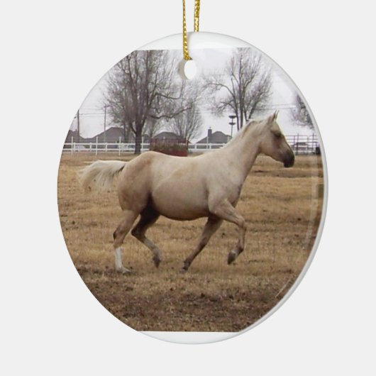 Beauty in Motion ornament (Links)