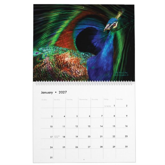 Beauty in Natuur - Collectie van vogels Agenda 201 Kalender (Jan 2027)