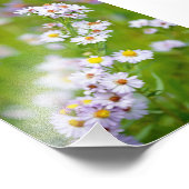 Beauty Line Foto Afdruk (Hoek)