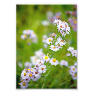 Beauty Line Foto Afdruk