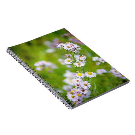 Beauty Line Notitieboek (Rechterzijde)