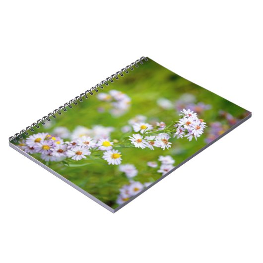 Beauty Line Notitieboek (Linkerzijde)