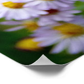 Beauty Line Poster (Hoek)