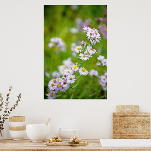 Beauty Line Poster (Keuken)