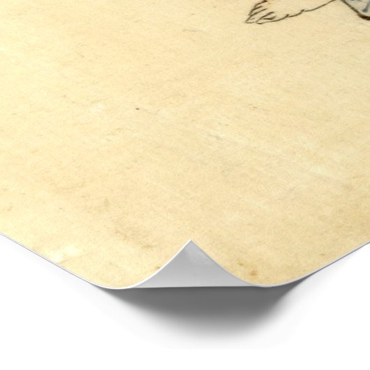 Beauty met Fan 1840 Poster (Hoek)