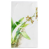 Beauty nazorg cadeauzakjes groene orchidee waterve klein cadeauzakje (Achterkant)