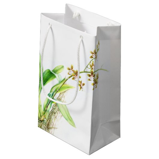 Beauty nazorg cadeauzakjes groene orchidee waterve klein cadeauzakje (Achterkant Gekanteld)