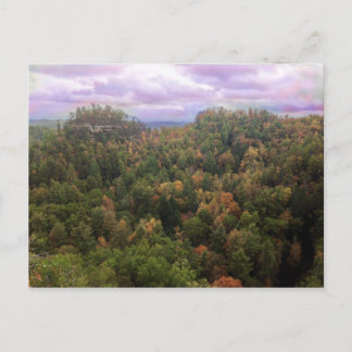 Beauty of Autumn Briefkaart