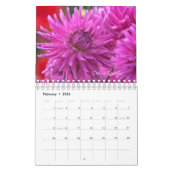 Beauty of Dahlias Flowers 2020 Calendar Kalender (Feb 2026)