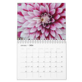 Beauty of Dahlias Flowers 2020 Calendar Kalender (Jan 2026)