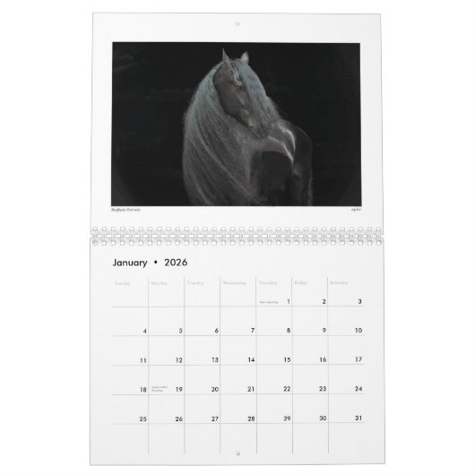 Beauty of the Horse Calendar 2015 Kalender (Jan 2026)