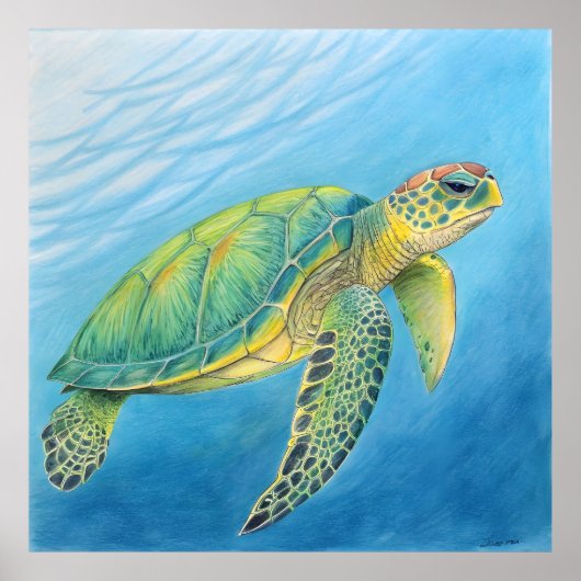 Beauty of the turtle poster (Voorkant)