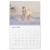 Beauty on the Earth Scenery and Animals Calendar Kalender (Jan 2026)