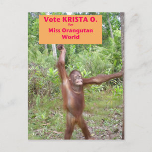 Beauty Pageant-activist Briefkaart