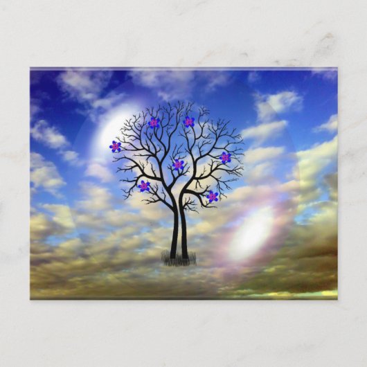 Beauty Post Card Briefkaart (Voorkant)